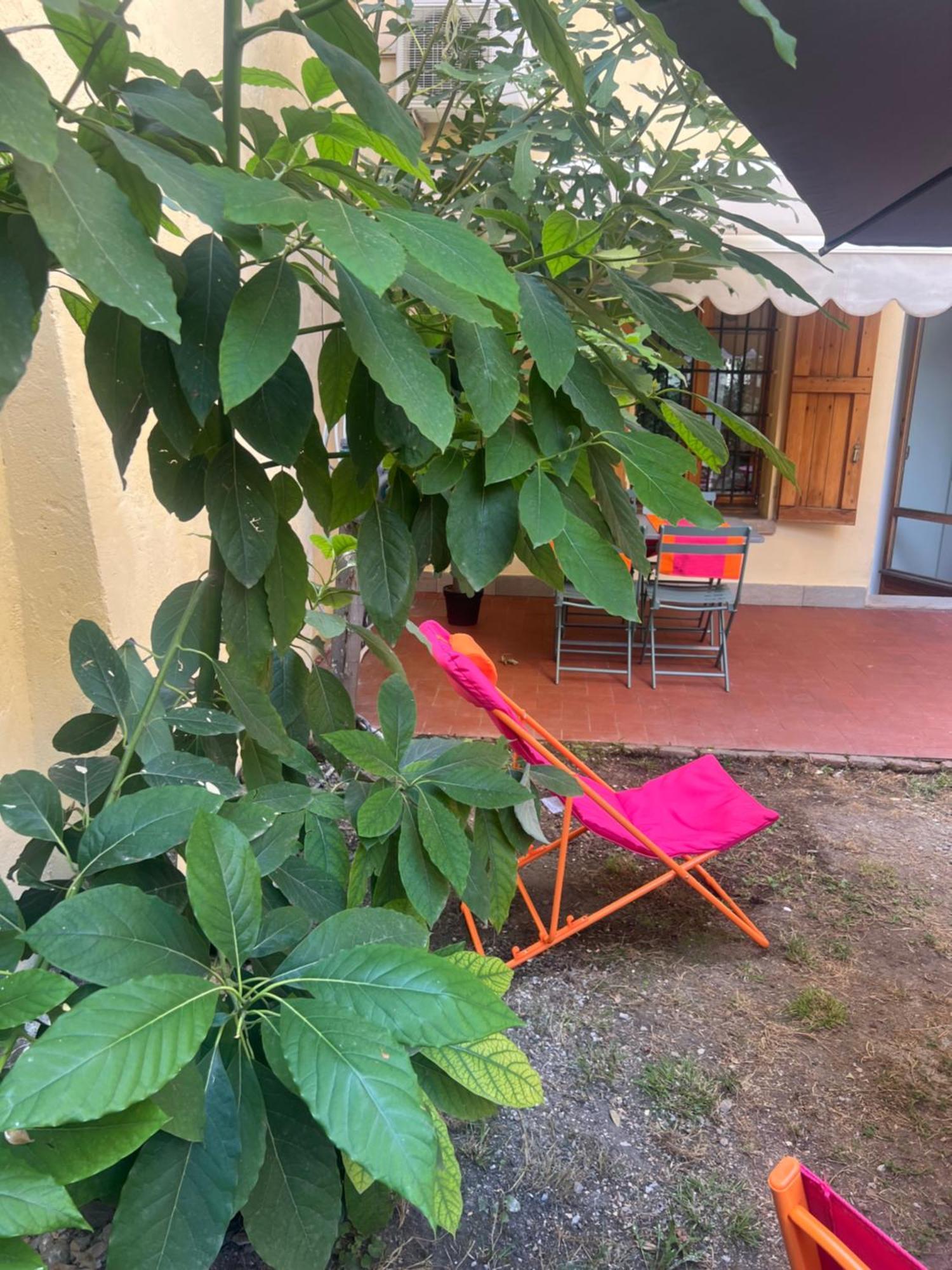 Teagarden Centro Storico Bologna Appartement Buitenkant foto